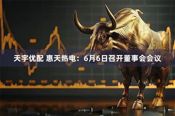 天宇优配 惠天热电：6月6日召开董事会会议
