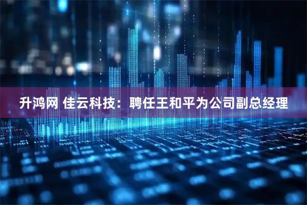 升鸿网 佳云科技：聘任王和平为公司副总经理