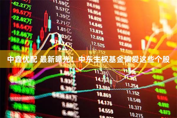 中鑫优配 最新曝光！中东主权基金偏爱这些个股
