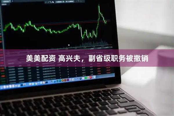 美美配资 高兴夫，副省级职务被撤销
