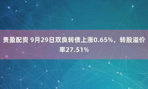 贵盈配资 9月29日双良转债上涨0.65%，转股溢价率27.51%
