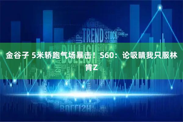 金谷子 5米轿跑气场暴击！S60：论吸睛我只服林肯Z