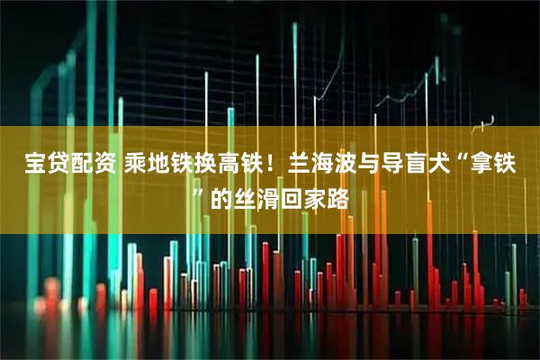 宝贷配资 乘地铁换高铁！兰海波与导盲犬“拿铁”的丝滑回家路