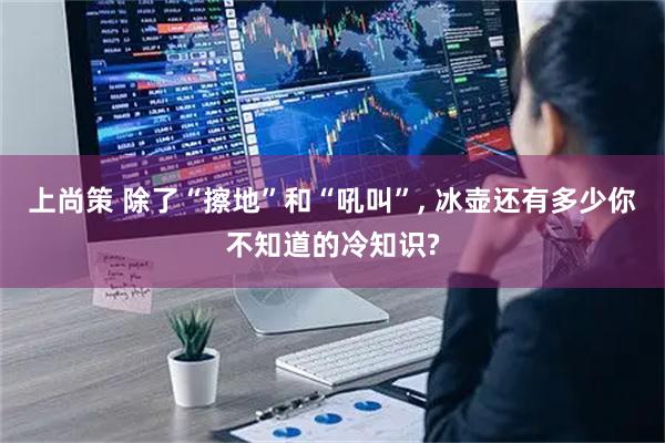 上尚策 除了“擦地”和“吼叫”, 冰壶还有多少你不知道的冷知识?