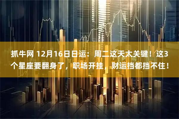 抓牛网 12月16日日运：周二这天太关键！这3个星座要翻身了，职场开挂，财运挡都挡不住！