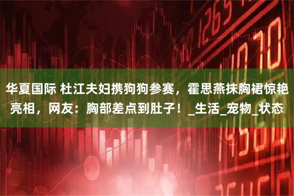 华夏国际 杜江夫妇携狗狗参赛，霍思燕抹胸裙惊艳亮相，网友：胸部差点到肚子！_生活_宠物_状态